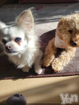 ���ܥ���Х��顦�����club RUDAN(����֥����) ������1��27���̥�֥��������ɤ�����