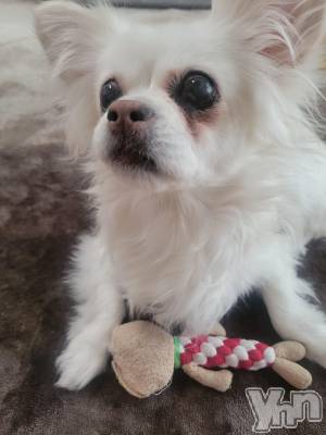 ���ܥ���Х��顦�����club RUDAN(����֥����) ������2��6���̥�֥�������❄��