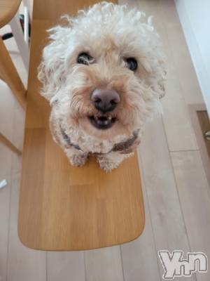 ���ܥ���Х��顦�����club RUDAN(����֥����) ������2��13���̥�֥����ֲ�ʴ��