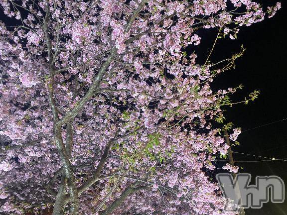 甲府ソープBARUBORA(バルボラ) まなみ(30)の3月1日写メブログ「thanks❤︎」