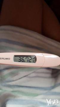 甲府ソープBARUBORA(バルボラ)まなみ(30)の2020年4月17日写メブログ「[今日の私の体温]：フォトギャラリー」