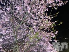 甲府ソープBARUBORA(バルボラ) まなみ(30)の3月1日写メブログ「thanks❤︎」