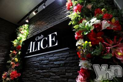 ٻεĻԥХ顦 Club ALICE(֥ꥹ)Źޥ᡼