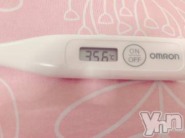 甲府デリヘル山梨デリヘル　絆　甲府店(ヤマナシデリヘル　キズナ　コウフテン) りお(30)の5月31日写メブログ「[今日の私の体温]：フォトギャラリー」