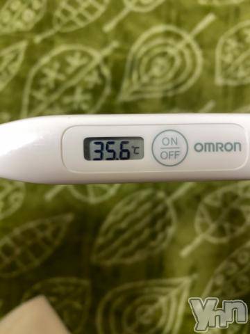 甲府デリヘル山梨デリヘル　絆　甲府店(ヤマナシデリヘル　キズナ　コウフテン) ひろな(23)の6月4日写メブログ「おはよう」