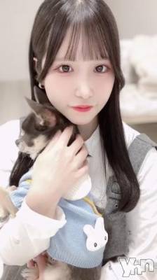 甲府ソープ 石蹄(セキテイ) えいみ(22)の1月28日写メブログ「💖💖出勤情報💖💖」