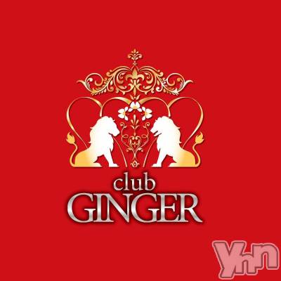 (ҥߥ) ĹҥߥġܥХ顦 Club GINGER( 󥸥㡼)ҡ