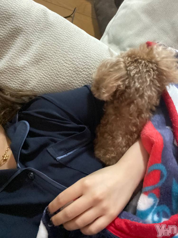 ���ܥ���Х��顦�����CLUB HEARTS(����֥ϡ���) �Ϥ��1��11���̥�֥����ֺ����ġ�