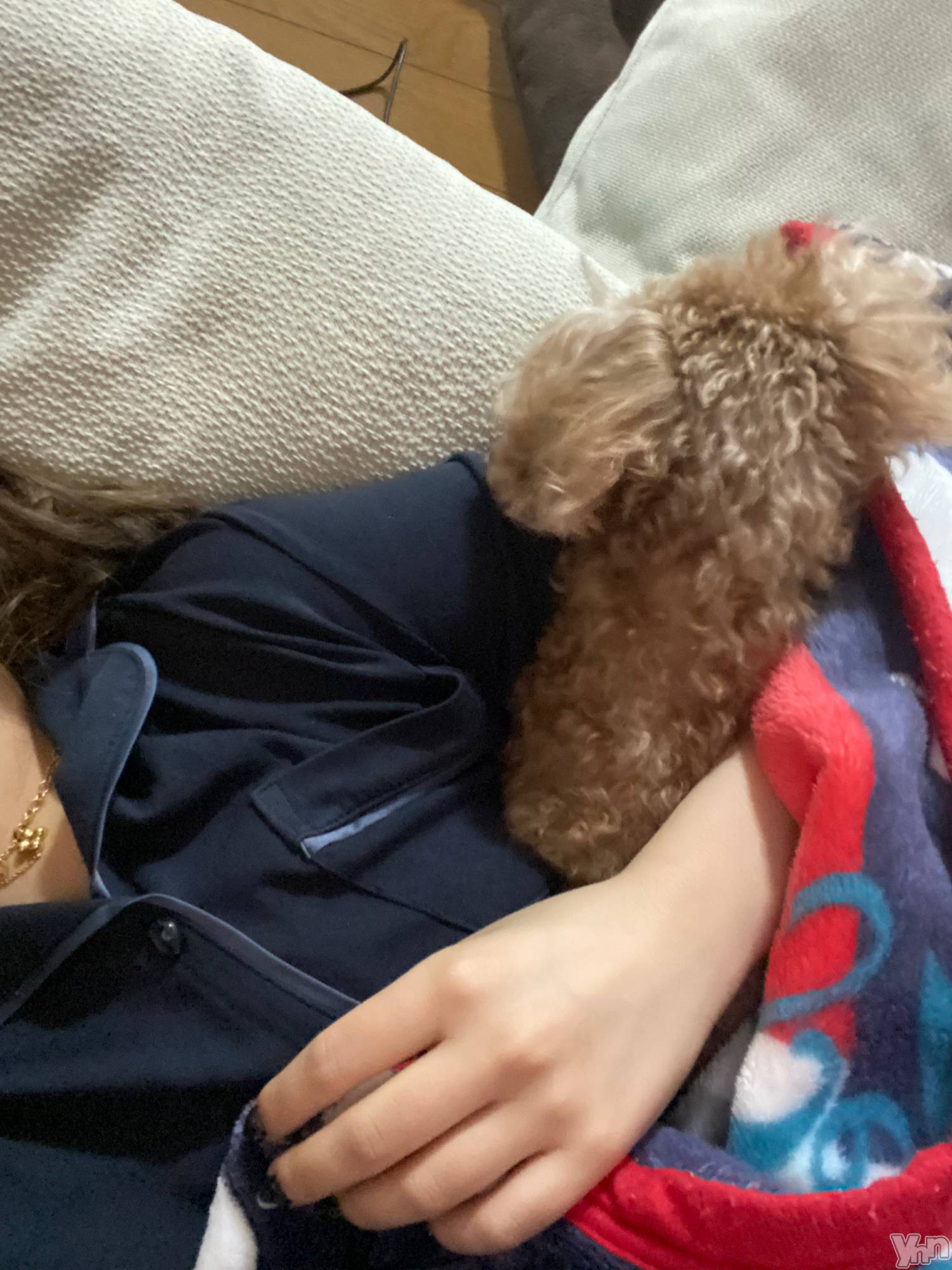 ���ܥ���Х��顦�����CLUB HEARTS(����֥ϡ���) ��2022ǯ1��11���̥�֥����ֺ����ġ�