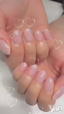 �ͥ�������