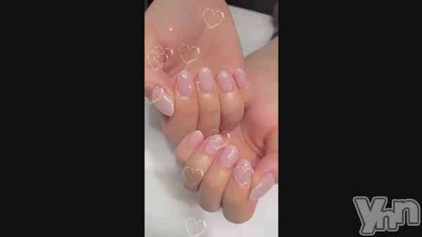 �֥ͥ��������