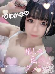 甲府ソープ石蹄(セキテイ) わかな(21)の3月9日写メブログ「?にゃんにゃん?」