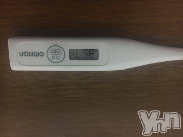 甲府デリヘル山梨デリヘル　絆　甲府店(ヤマナシデリヘル　キズナ　コウフテン) みさと(21)の11月30日写メブログ「[今日の私の体温]：フォトギャラリー」