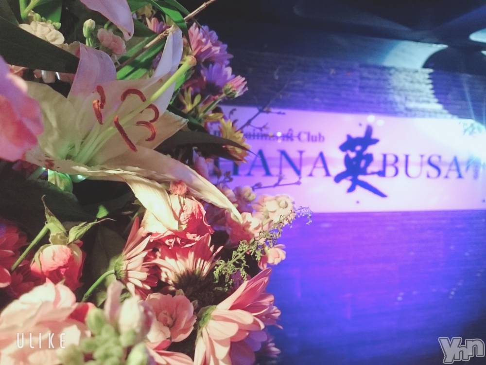 ܥХ顦Entertainment Club HANABUSA(󥿡ƥȥ֡ϥʥ֥) ۲֤121̥֥🌷