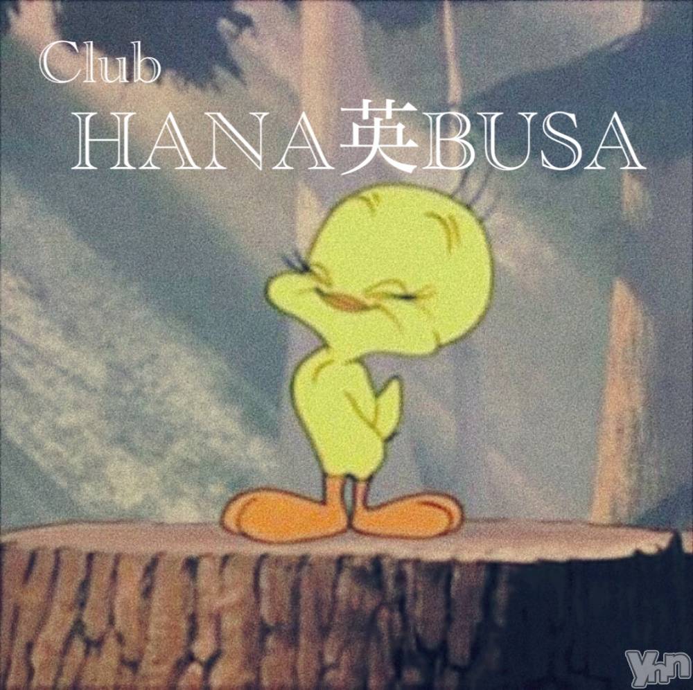ܥХ顦Entertainment Club HANABUSA(󥿡ƥȥ֡ϥʥ֥) ۲֤113̥֥֤
