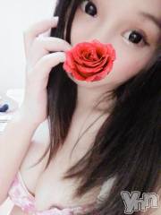 甲府デリヘル山梨奥さま食堂(ヤマナシオクサマショクドウ) つくし(23)の5月5日写メブログ「出勤しました」