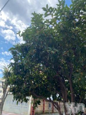 甲府ソープ 石蹄(セキテイ) あおい(21)の9月28日写メブログ「やっと秋が来た𓈒𓂂𓂃◌𓈒𓐍」