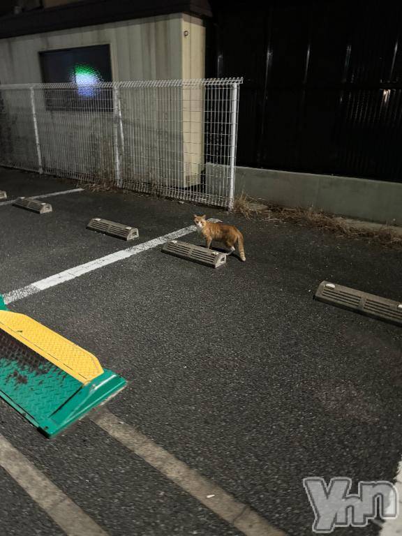 甲府ソープオレンジハウス えるも(22)の8月12日写メブログ「𝚃𝚑𝚊𝚗𝚔 𝚢𝚘𝚞 ᕱ⑅︎ᕱ」