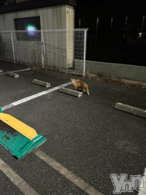 甲府ソープ オレンジハウス えるも(22)の8月12日写メブログ「𝚃𝚑𝚊𝚗𝚔 𝚢𝚘𝚞 ᕱ⑅︎ᕱ」