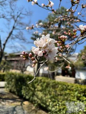 甲府ソープ オレンジハウス えるも(22)の4月7日写メブログ「出勤延長❕」