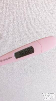 甲府デリヘル 山梨デリヘル　絆　甲府店(ヤマナシデリヘル　キズナ　コウフテン) くみ(19)の4月15日写メブログ「今日の体温?」