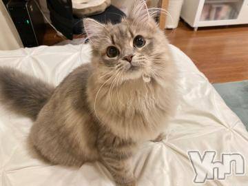 甲府ソープオレンジハウスあお(22)の2021年5月8日写メブログ「9:40からのお兄さま??」