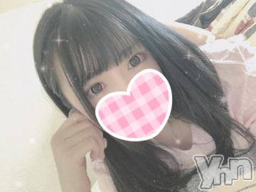 甲府ソープ石蹄(セキテイ) えるも(22)の12月21日写メブログ「猫犬猫犬猫犬」