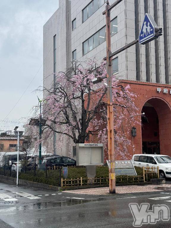 甲府ソープ石蹄(セキテイ)えるも(22)の2026年4月1日写メブログ「☔️」