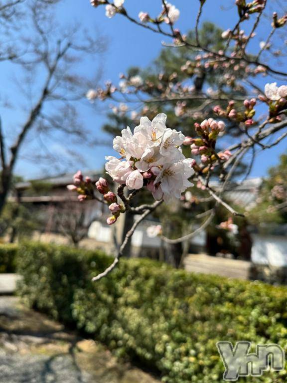 甲府ソープ石蹄(セキテイ)えるも(22)の2026年4月7日写メブログ「出勤延長❕」