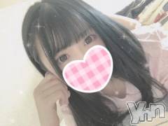 甲府ソープ石蹄(セキテイ) えるも(22)の12月21日写メブログ「猫犬猫犬猫犬」