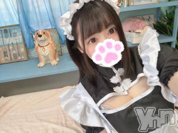 甲府ソープ 石蹄(セキテイ) えるも(22)の2月24日写メブログ「お知らせ🐶」