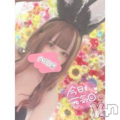 甲府ソープオレンジハウス ここ(21)の12月10日写メブログ「🎀13時～シてます♡」