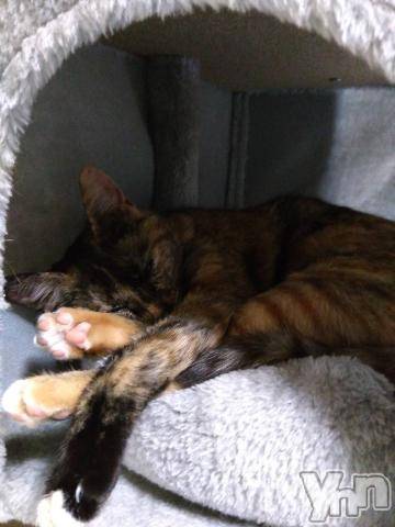 甲府ソープBARUBORA(バルボラ) りお(22)の5月27日写メブログ「OMG」