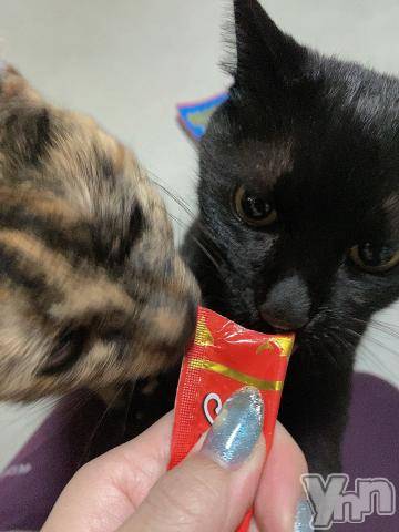 甲府ソープBARUBORA(バルボラ) りお(22)の4月8日写メブログ「次回出勤💖」