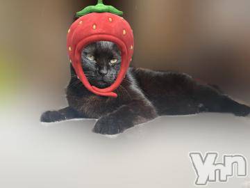 甲府ソープBARUBORA(バルボラ) りお(22)の6月10日写メブログ「4日間ありがとう🩷」