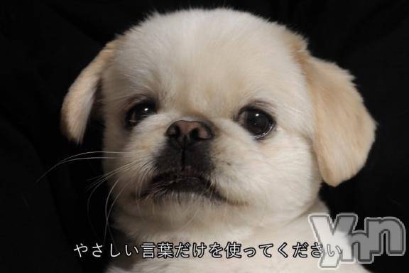 甲府ソープBARUBORA(バルボラ) りお(22)の3月15日写メブログ「お願い🙏💧」