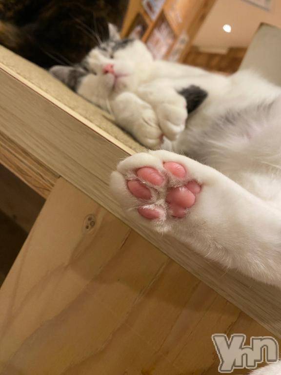 甲府ソープBARUBORA(バルボラ)りお(22)の2025年3月19日写メブログ「⭐️次回の出勤⭐️」