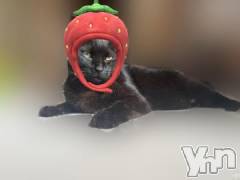 甲府ソープBARUBORA(バルボラ) りお(22)の6月10日写メブログ「4日間ありがとう🩷」