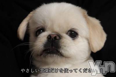 甲府ソープ BARUBORA(バルボラ) りお(22)の3月15日写メブログ「お願い🙏💧」