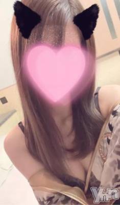 甲府デリヘル 甲府回春アロマージュ(コウフカイシュンアロマージュ) 水樹ゆうな(21)の11月10日写メブログ「ねこ…??」