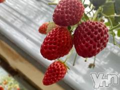 甲府デリヘル甲府回春アロマージュ(コウフカイシュンアロマージュ) 七海あい(35)の3月8日写メブログ「🍓」