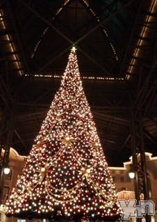 甲府デリヘル甲府人妻隊(コウフヒトヅマタイ)りん(40)の2023年12月25日写メブログ「Merry Xmas」