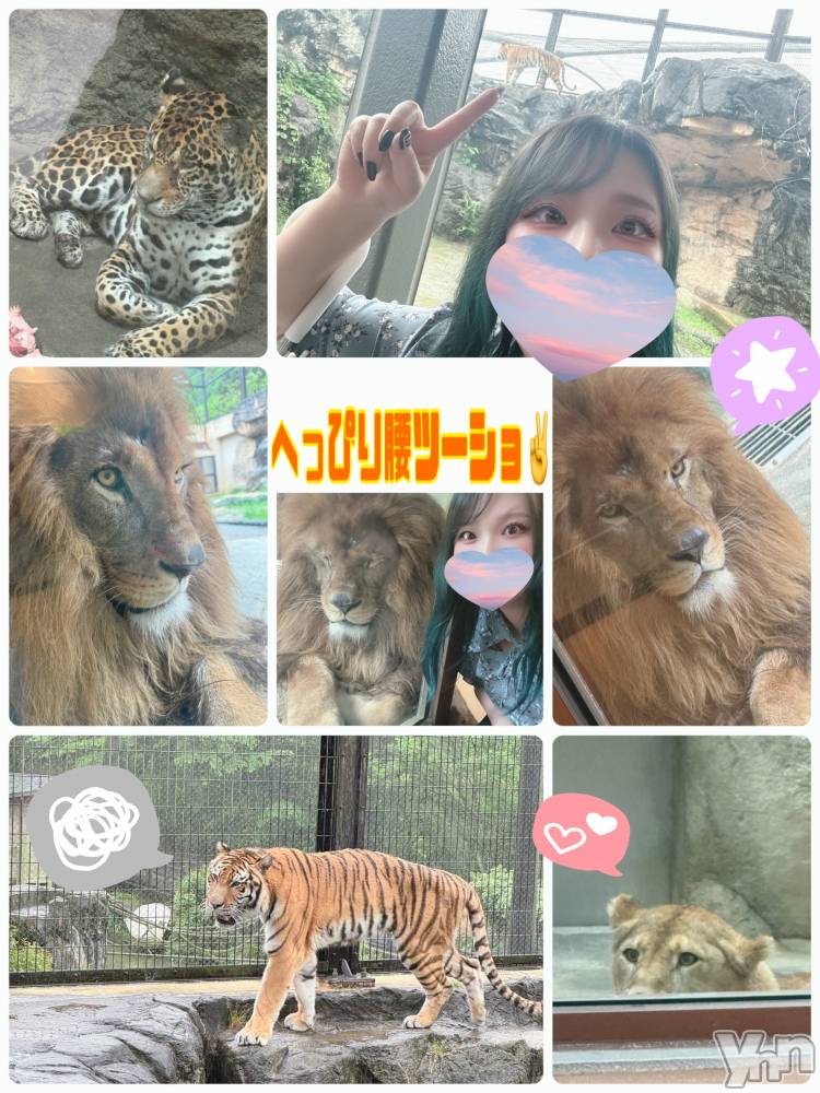 甲府デリヘル甲府人妻隊(コウフヒトヅマタイ) あん(31)の5月26日写メブログ「へっぴり腰」