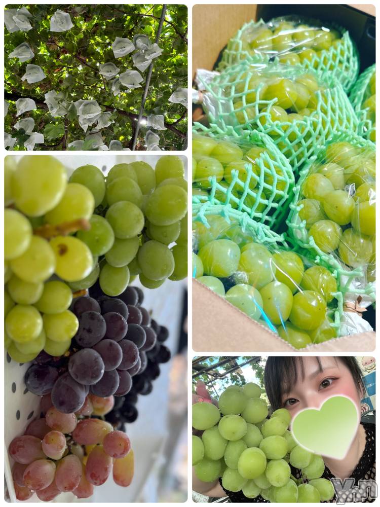 甲府デリヘル甲府人妻隊(コウフヒトヅマタイ) あん(31)の9月12日写メブログ「お忍び山梨っ」