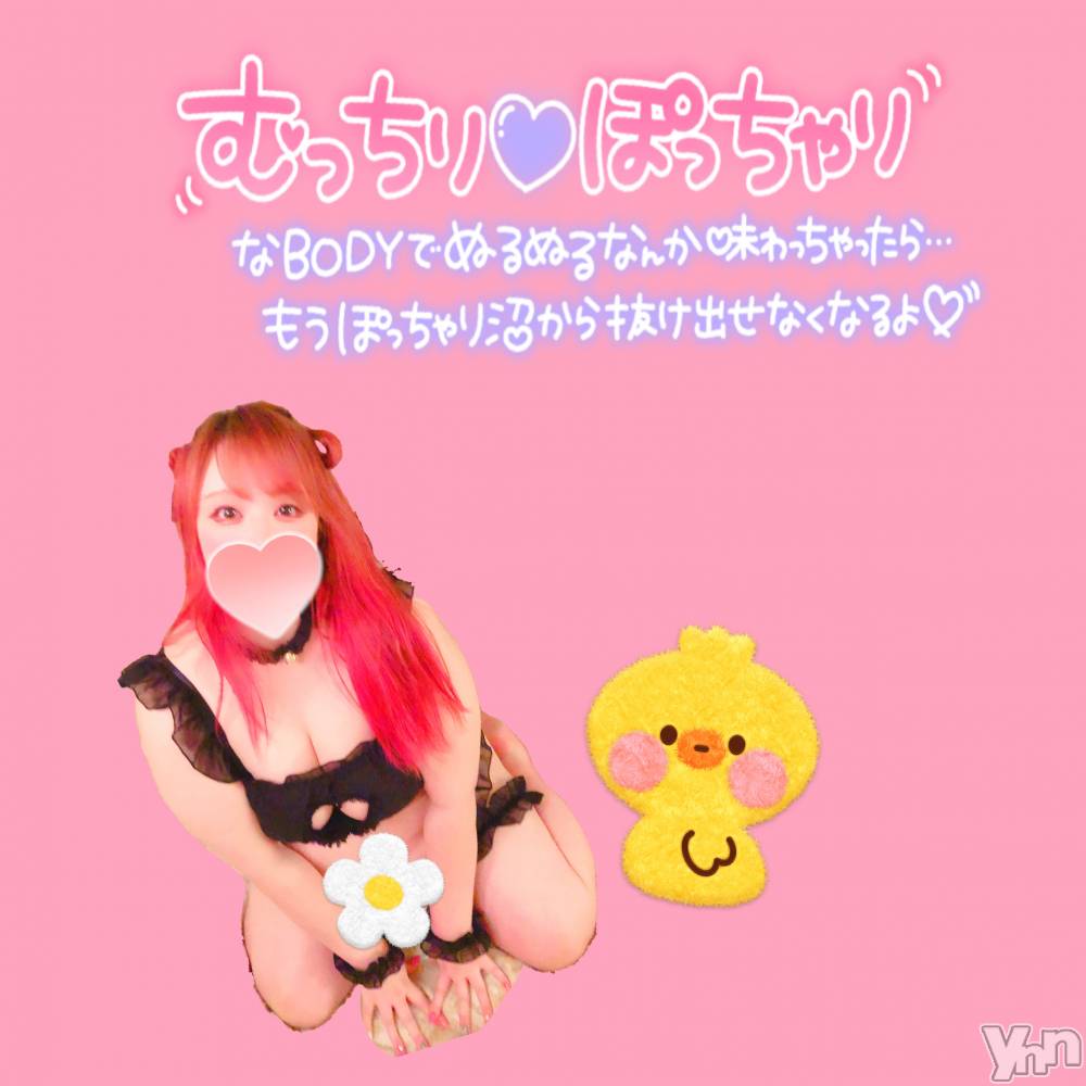 甲府デリヘル甲府人妻隊(コウフヒトヅマタイ) あん(31)の11月24日写メブログ「次枠15:30頃」