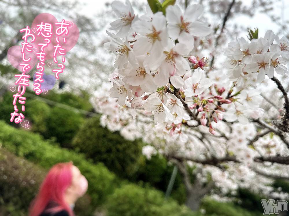 甲府デリヘル甲府人妻隊(コウフヒトヅマタイ) あん(31)の4月10日写メブログ「はじめました」