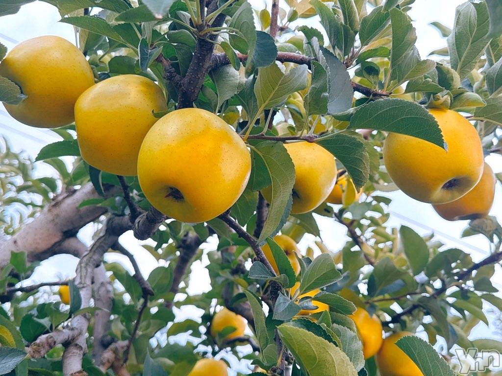 甲府デリヘル甲府人妻隊(コウフヒトヅマタイ)あん(31)の2023年10月20日写メブログ「リフレッシュ」