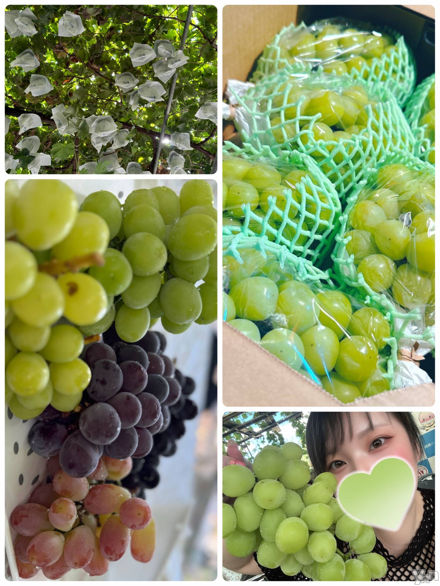 甲府デリヘル甲府人妻隊(コウフヒトヅマタイ)あん(31)の2024年9月12日写メブログ「お忍び山梨っ」