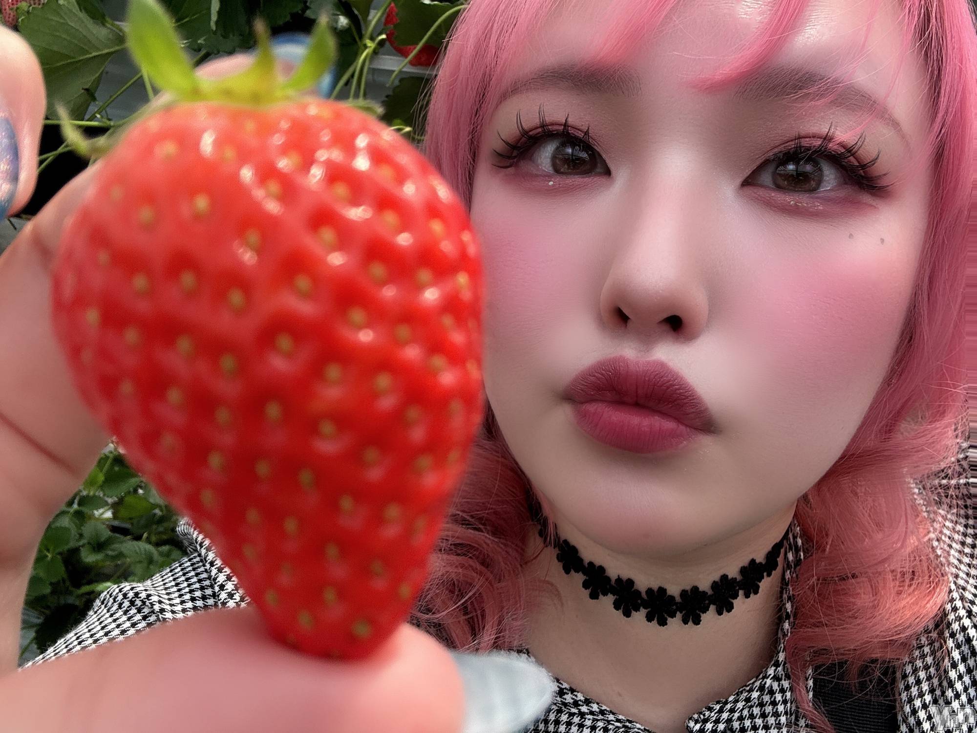 甲府デリヘル甲府人妻隊(コウフヒトヅマタイ)あん(31)の2025年3月28日写メブログ「狩りたい」