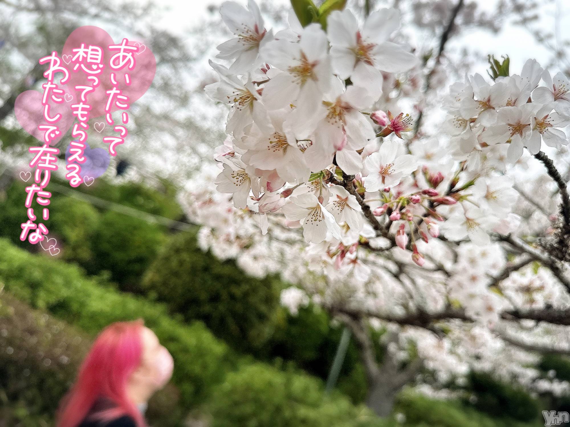 甲府デリヘル甲府人妻隊(コウフヒトヅマタイ)あん(31)の2025年4月10日写メブログ「はじめました」